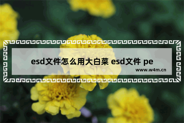 esd文件怎么用大白菜 esd文件 pe