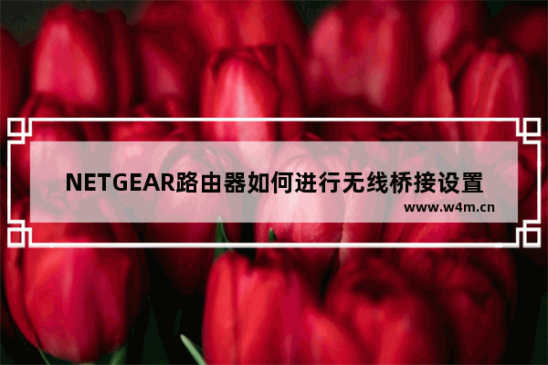 NETGEAR路由器如何进行无线桥接设置【图解】