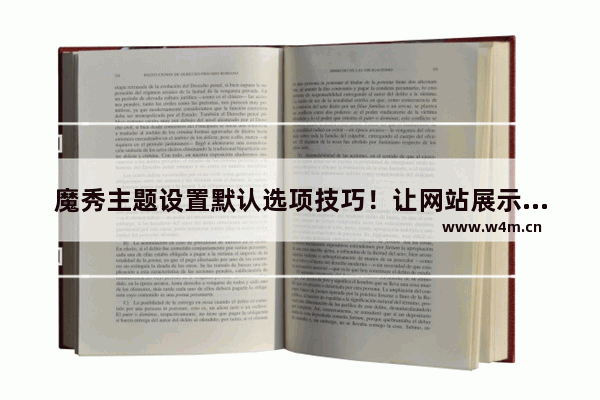 魔秀主题设置默认选项技巧！让网站展示更加出色！