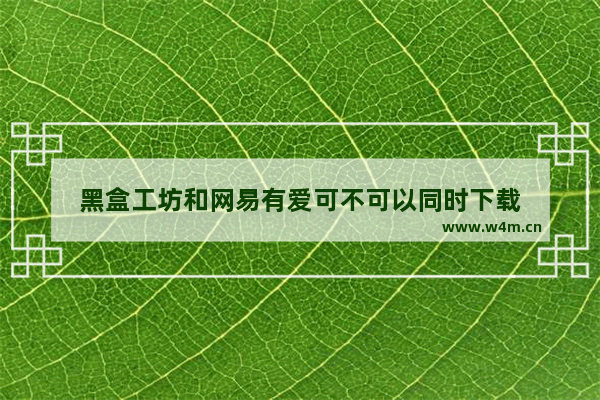 黑盒工坊和网易有爱可不可以同时下载