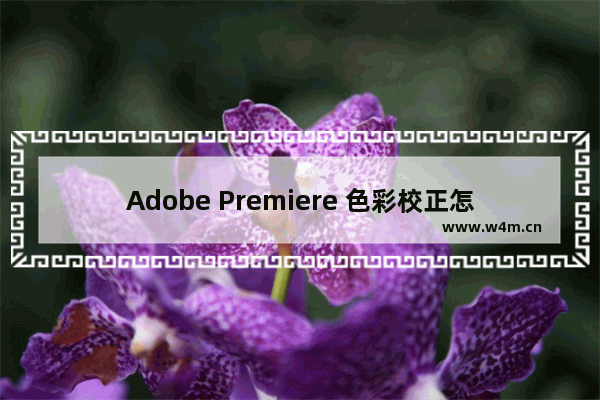 Adobe Premiere 色彩校正怎么设置？一步步教你完成高质量色彩调整！