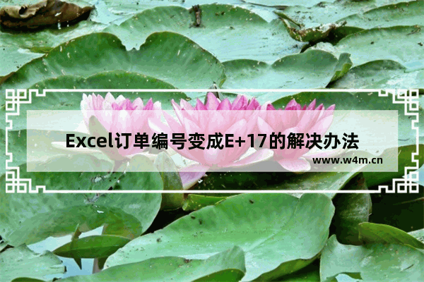 Excel订单编号变成E+17的解决办法