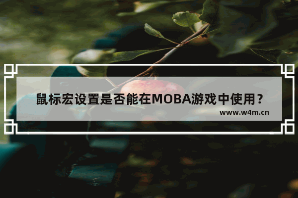 鼠标宏设置是否能在MOBA游戏中使用？