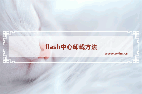 flash中心卸载方法