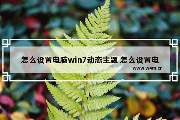 怎么设置电脑win7动态主题 怎么设置电脑win7动态主题显示