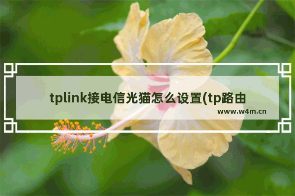 tplink接电信光猫怎么设置(tp路由器怎么连接电信光纤猫)