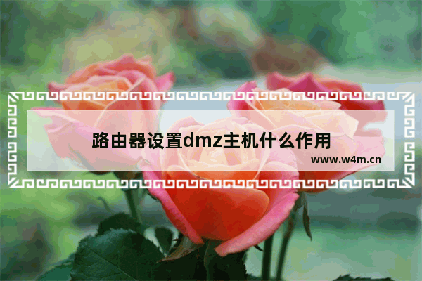 路由器设置dmz主机什么作用