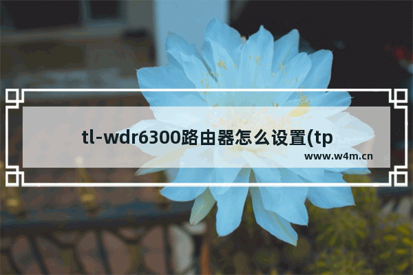 tl-wdr6300路由器怎么设置(tp-link6300路由器怎么设置)