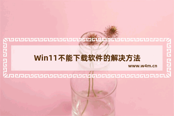 Win11不能下载软件的解决方法