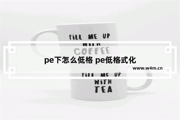 pe下怎么低格 pe低格式化