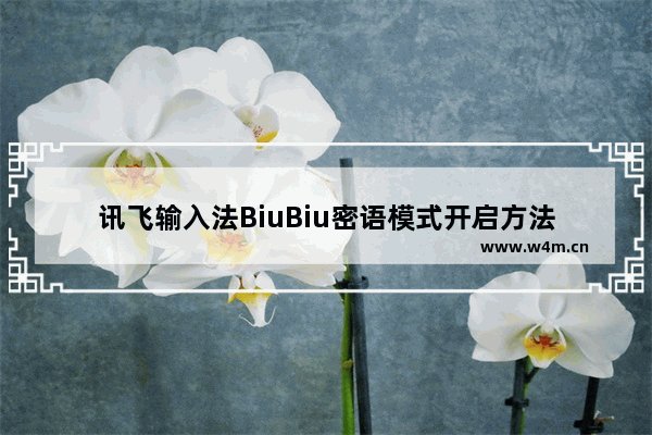 讯飞输入法BiuBiu密语模式开启方法