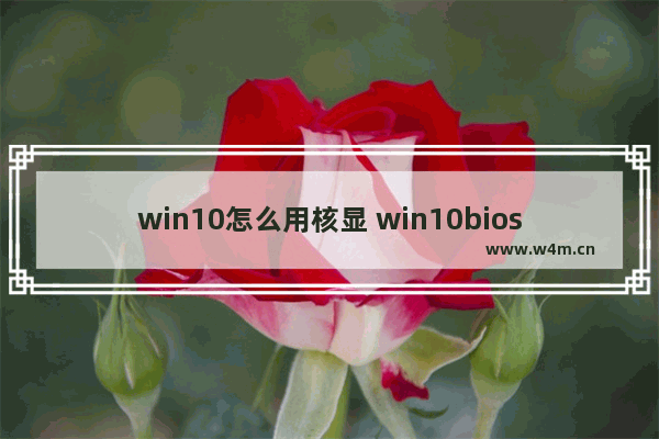 win10怎么用核显 win10bios怎样设置核显显存