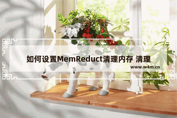 如何设置MemReduct清理内存 清理内存的MemReduct设置步骤