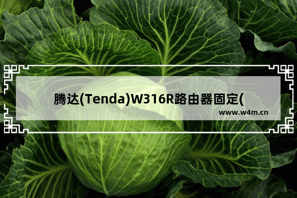 腾达(Tenda)W316R路由器固定(静态)IP设置上网