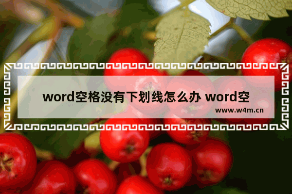 word空格没有下划线怎么办 word空格下划线不显示解决方法