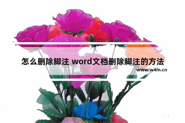 怎么删除脚注 word文档删除脚注的方法