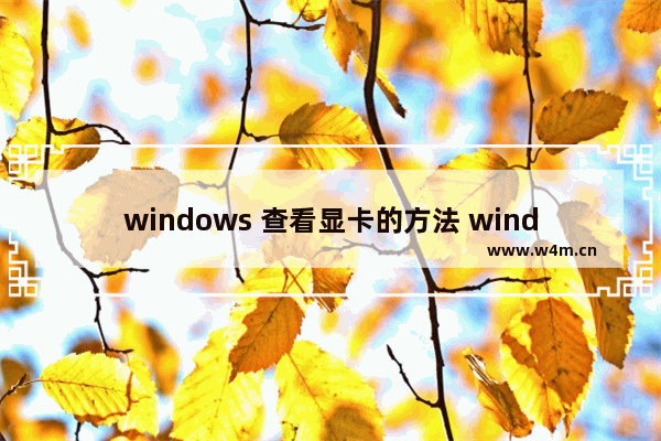 windows 查看显卡的方法 windows显卡怎么看