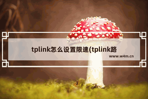 tplink怎么设置限速(tplink路由器怎么限制网速)