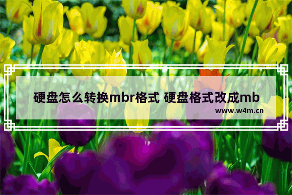 硬盘怎么转换mbr格式 硬盘格式改成mbr格式