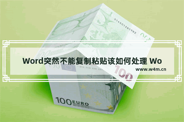 Word突然不能复制粘贴该如何处理 Word复制粘贴功能失灵怎么办