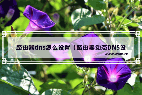 路由器dns怎么设置（路由器动态DNS设置方法）