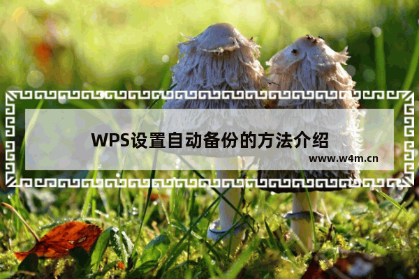 WPS设置自动备份的方法介绍