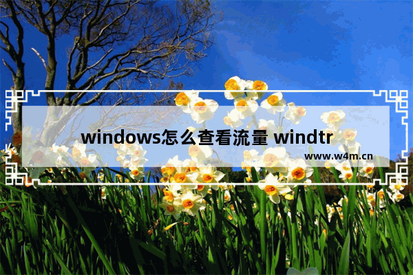 windows怎么查看流量 windtre查流量