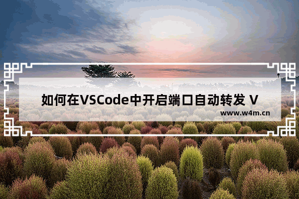 如何在VSCode中开启端口自动转发 VSCode如何设置自动转发端口