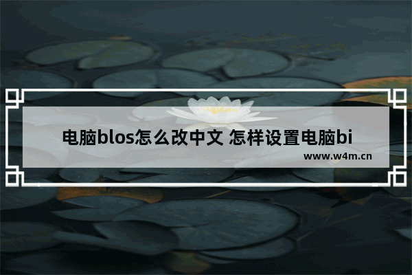 电脑blos怎么改中文 怎样设置电脑bios模式为中文