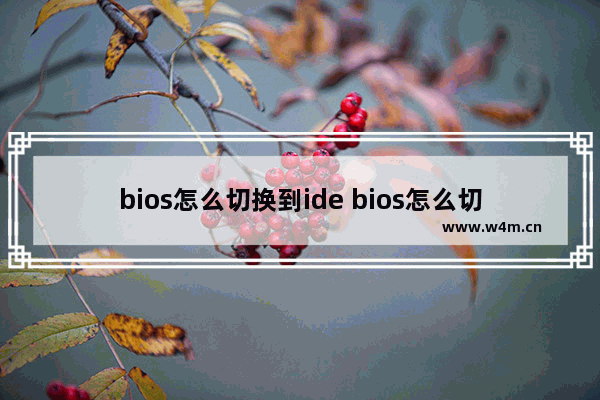 bios怎么切换到ide bios怎么切换到高级模式