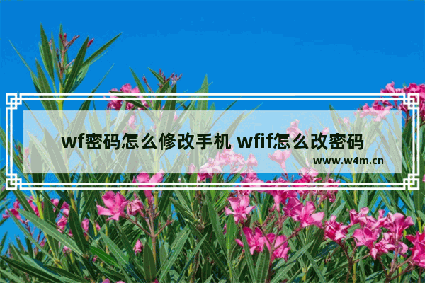 wf密码怎么修改手机 wfif怎么改密码手机