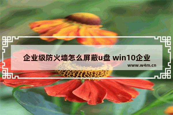 企业级防火墙怎么屏蔽u盘 win10企业版防火墙怎么关闭