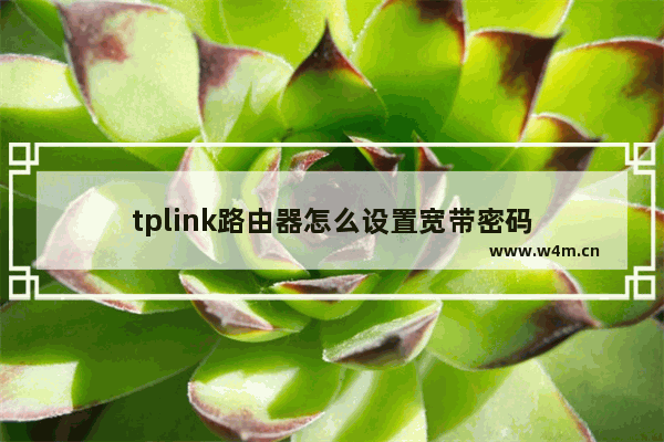 tplink路由器怎么设置宽带密码