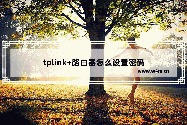 tplink+路由器怎么设置密码