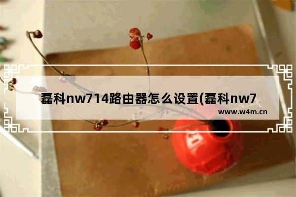 磊科nw714路由器怎么设置(磊科nw715p路由器怎么设置)