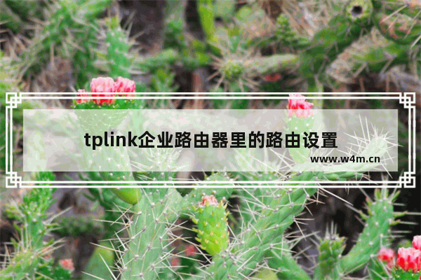 tplink企业路由器里的路由设置