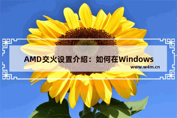 AMD交火设置介绍：如何在Windows系统上配置AMD交火模式？