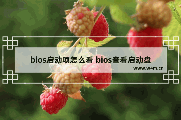 bios启动项怎么看 bios查看启动盘