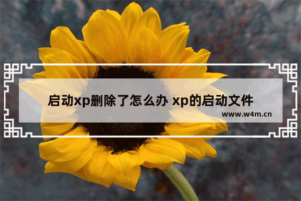 启动xp删除了怎么办 xp的启动文件