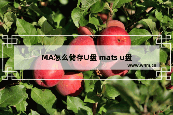 MA怎么储存U盘 mats u盘