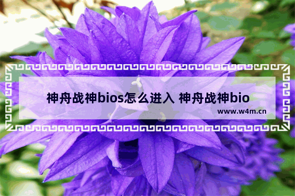 神舟战神bios怎么进入 神舟战神bios怎么进入安全启动