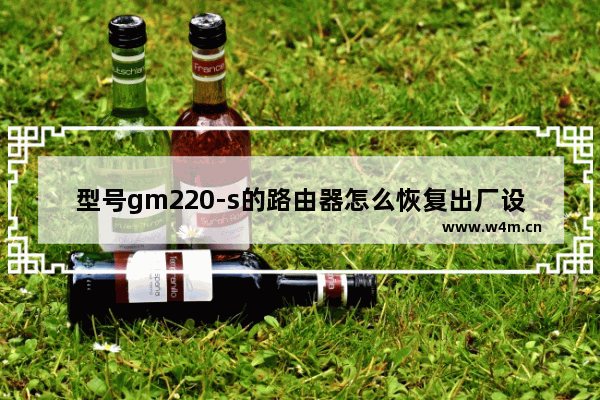 型号gm220-s的路由器怎么恢复出厂设置(gm220-s路由器wifi密码忘了)