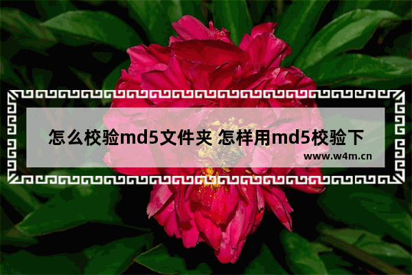 怎么校验md5文件夹 怎样用md5校验下载文件