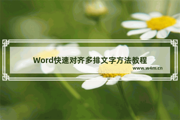 Word快速对齐多排文字方法教程