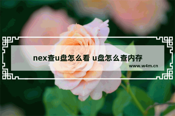 nex查u盘怎么看 u盘怎么查内存