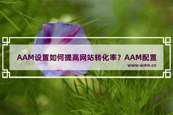 AAM设置如何提高网站转化率？AAM配置有什么注意事项？