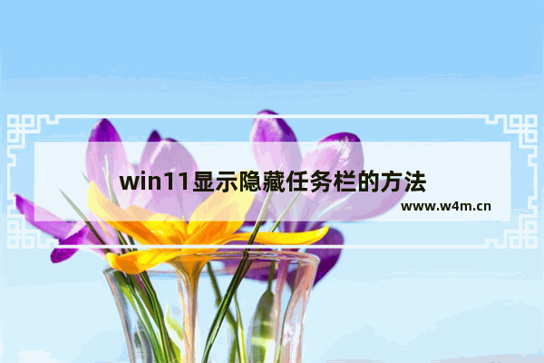 win11显示隐藏任务栏的方法