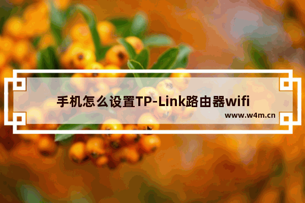 手机怎么设置TP-Link路由器wifi密码