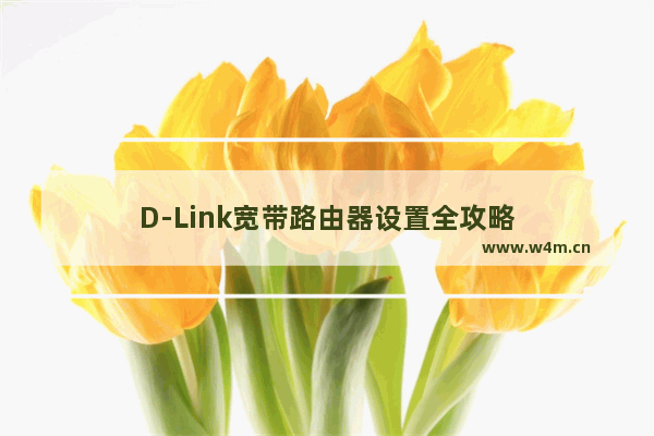 D-Link宽带路由器设置全攻略