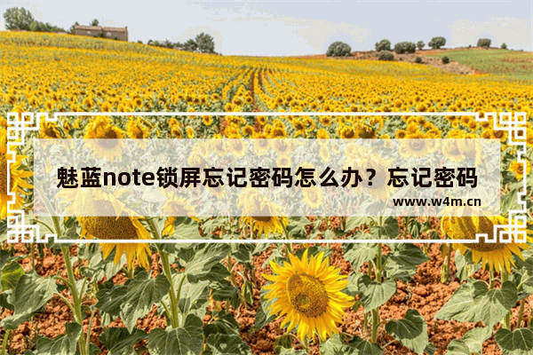 魅蓝note锁屏忘记密码怎么办？忘记密码解锁方法介绍。